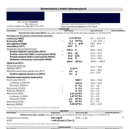 MORFOLOGIA POD TK JAMY BRZUSZNEJ